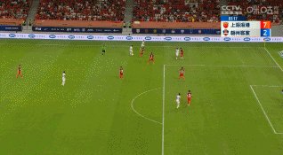 杨超声.gif